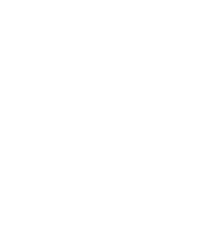 Ari Event's